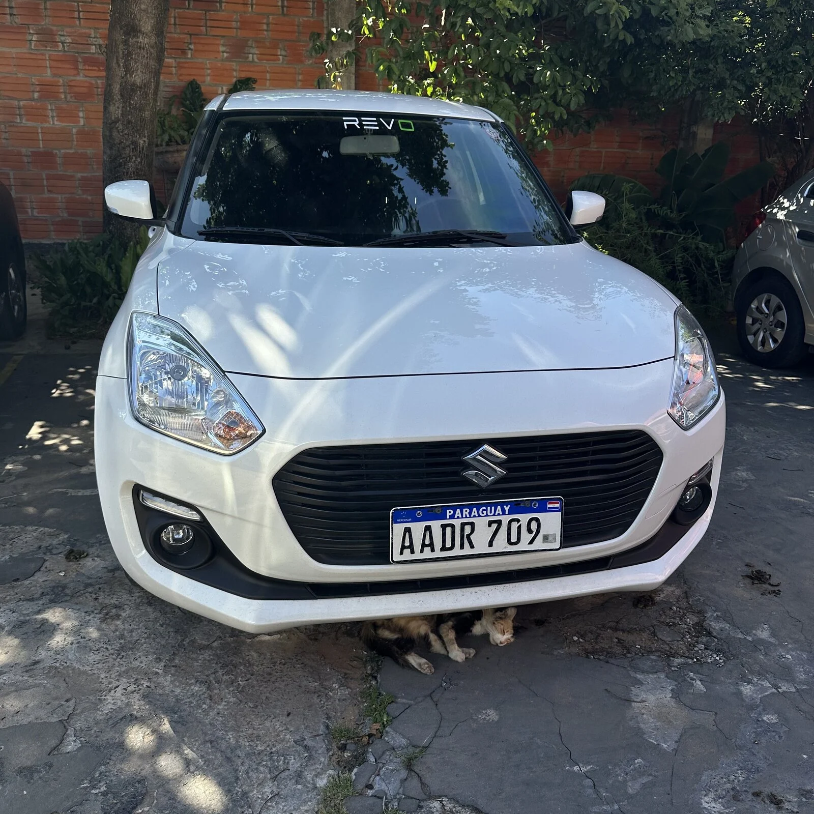 SUZUKI SWIFT